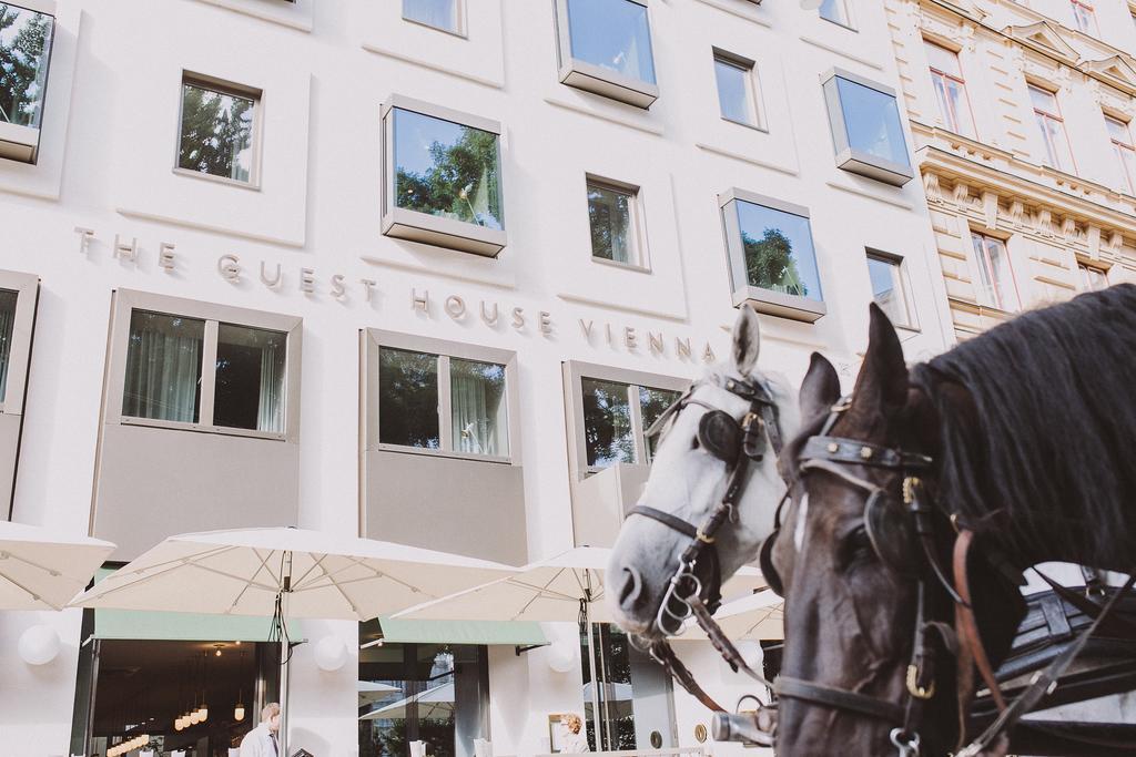 The Guesthouse Vienna Luaran gambar